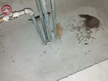 恩施市卫生间测漏水价格明细