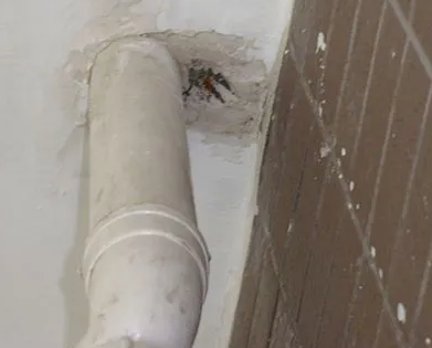 恩施市漏水检测哪家好